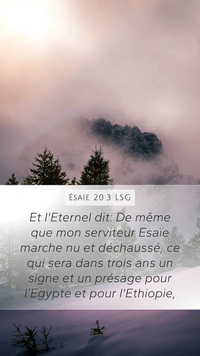 Ésaïe 20:3 LSG Bible Verse Image