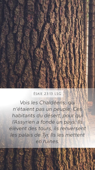 Ésaïe 23:13 LSG Bible Verse Image