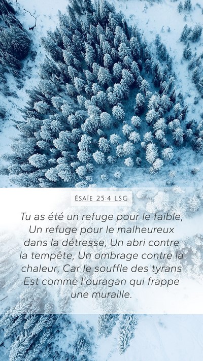 Ésaïe 25:4 LSG Bible Verse Image