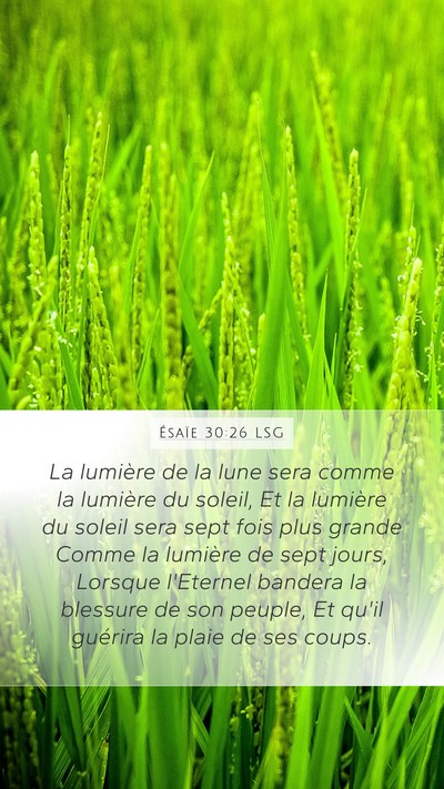 Ésaïe 30:26 LSG Bible Verse Image