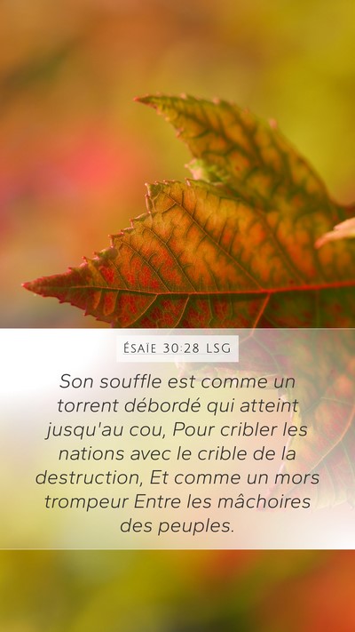 Ésaïe 30:28 LSG Bible Verse Image