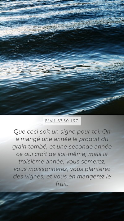Ésaïe 37:30 LSG Bible Verse Image
