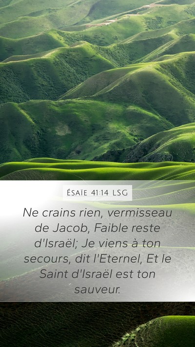 Ésaïe 41:14 LSG Bible Verse Image