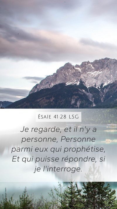 Ésaïe 41:28 LSG Bible Verse Image