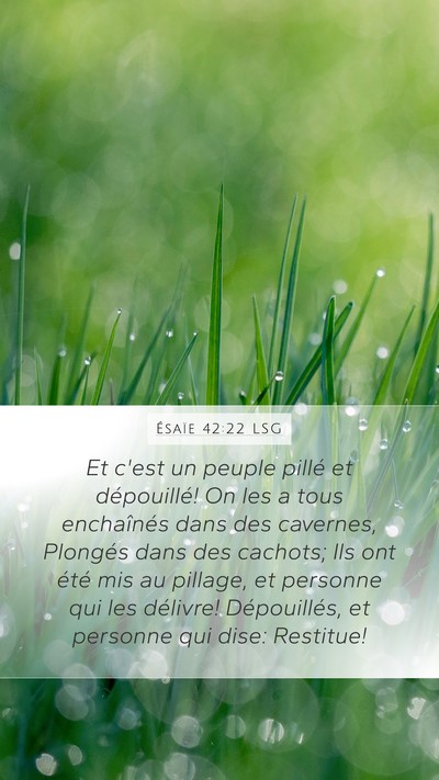 Ésaïe 42:22 LSG Mobile Phone Wallpaper - Et c'est un peuple pillé et dépouillé! On les - Mobile Bible Verse Wallpaper