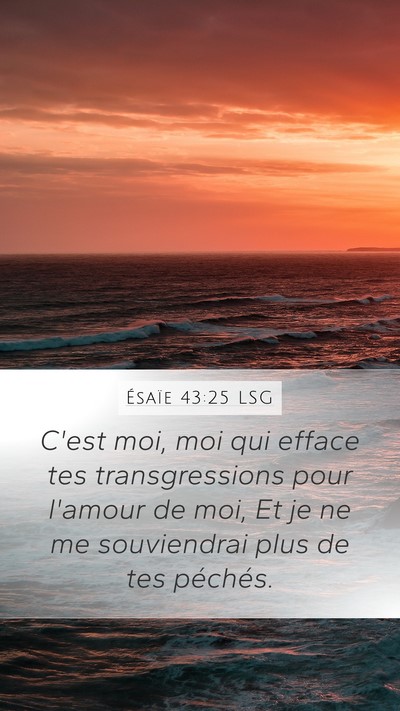 Ésaïe 43:25 LSG Bible Verse Image