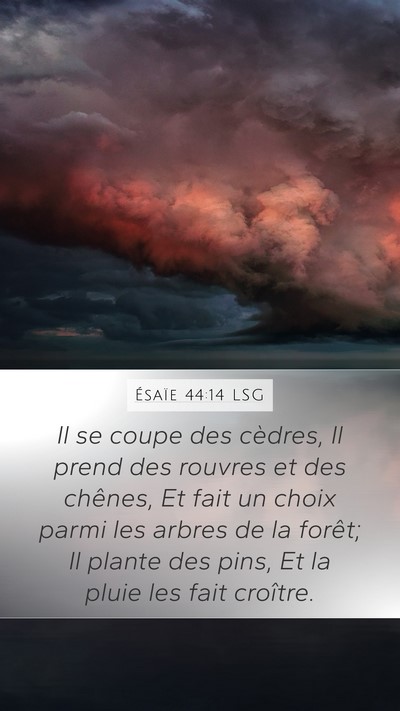 Ésaïe 44:14 LSG Bible Verse Image