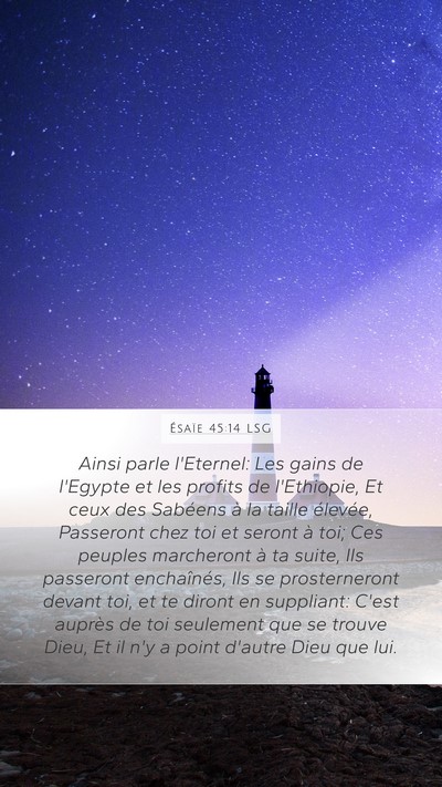 Ésaïe 45:14 LSG Bible Verse Image