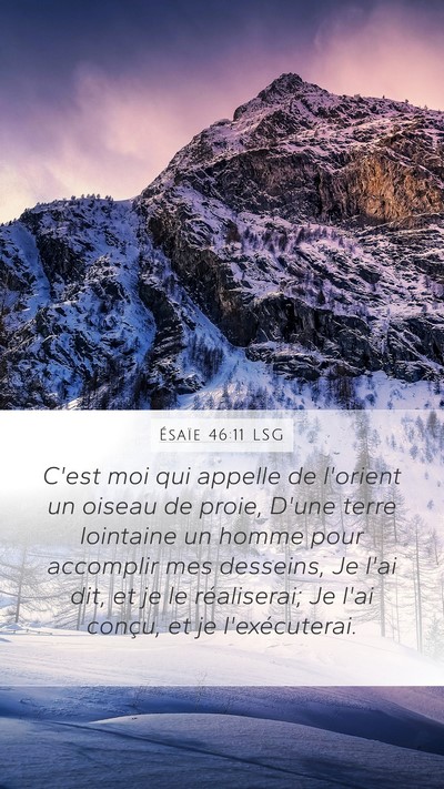 Ésaïe 46:11 LSG Bible Verse Image