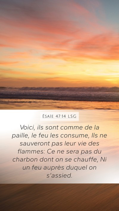 Ésaïe 47:14 LSG Bible Verse Image