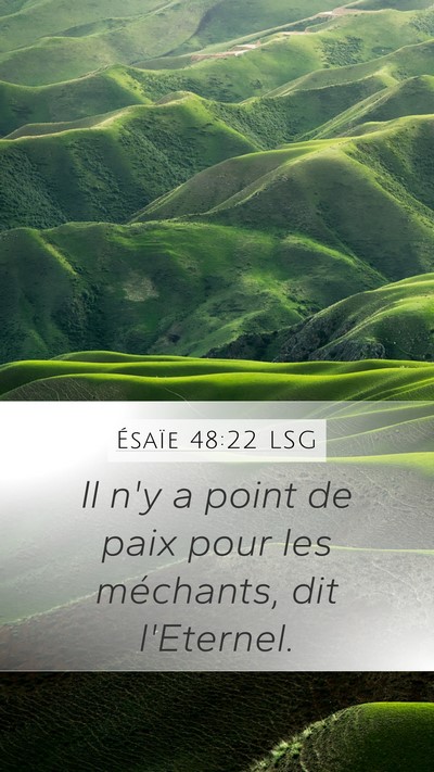 Ésaïe 48:22 LSG Bible Verse Image