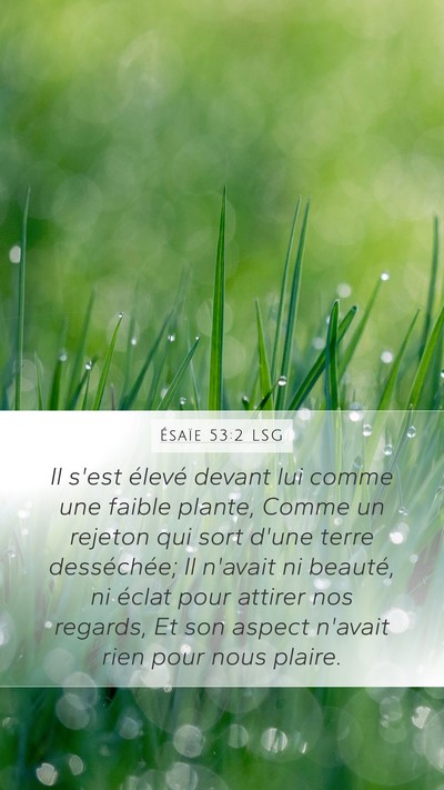 Ésaïe 53:2 LSG Mobile Phone Wallpaper - Il s'est élevé devant lui comme une faible - Mobile Bible Verse Wallpaper