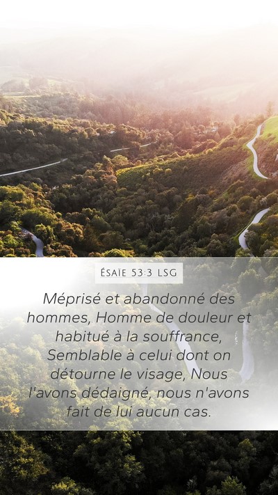 Ésaïe 53:3 LSG Bible Verse Image