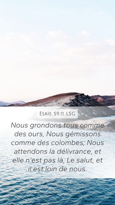 Ésaïe 59:11 LSG Bible Verse Image