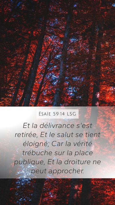 Ésaïe 59:14 LSG Bible Verse Image