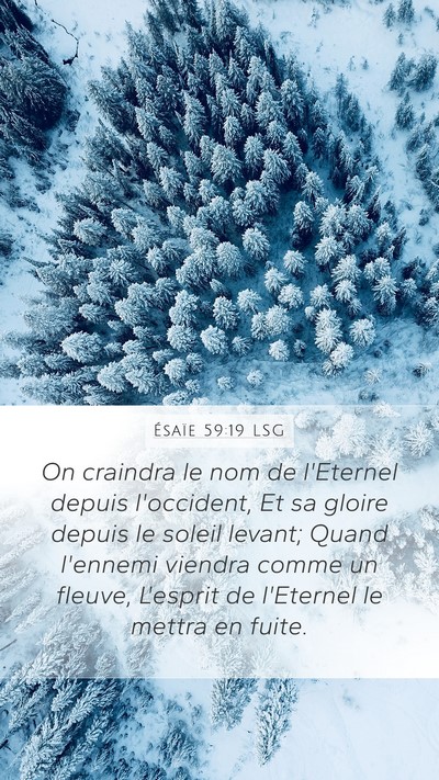 Ésaïe 59:19 LSG Bible Verse Image