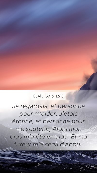 Ésaïe 63:5 LSG Bible Verse Image