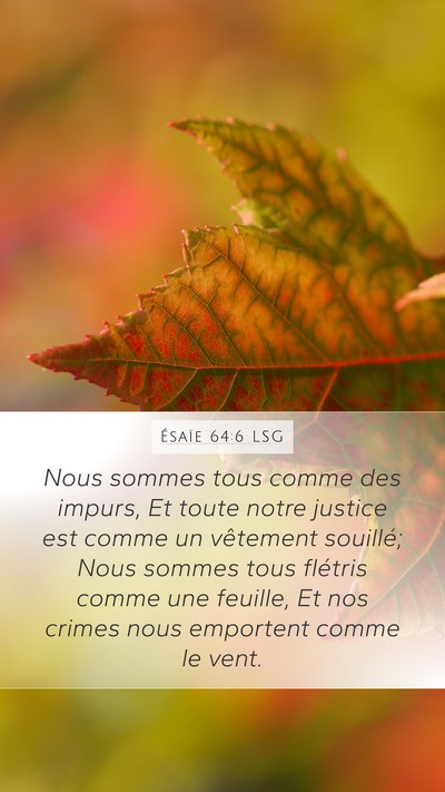 Ésaïe 64:6 LSG Bible Verse Image