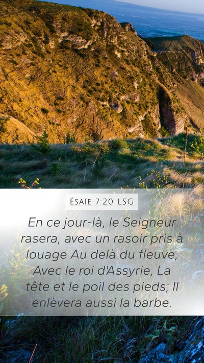 Ésaïe 7:20 LSG Bible Verse Image