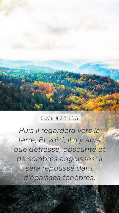 Ésaïe 8:22 LSG Bible Verse Image