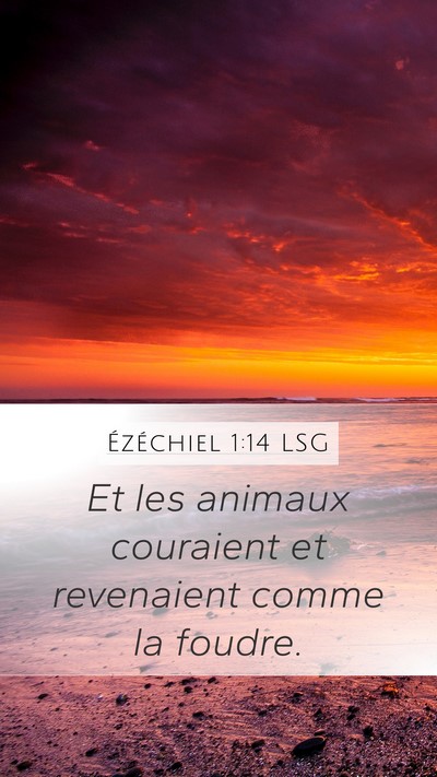 Ézéchiel 1:14 LSG Bible Verse Image