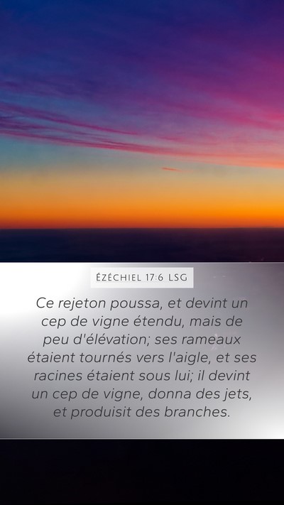 Ézéchiel 17:6 LSG Mobile Phone Wallpaper - Ce rejeton poussa, et devint un cep de vigne - Mobile Bible Verse Wallpaper