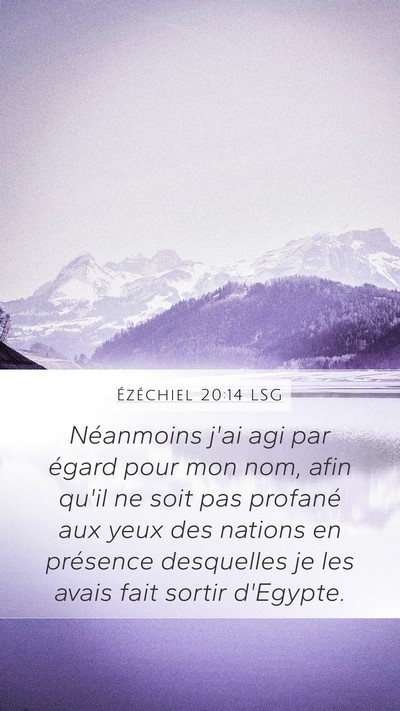 Ézéchiel 20:14 LSG Bible Verse Image