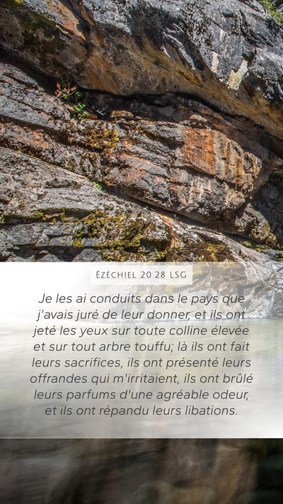 Ézéchiel 20:28 LSG Bible Verse Image