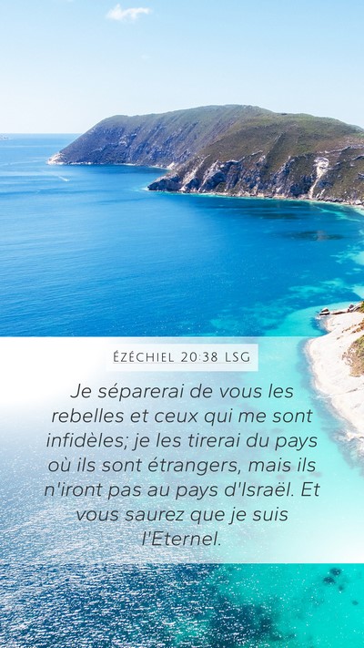 Ézéchiel 20:38 LSG Bible Verse Image