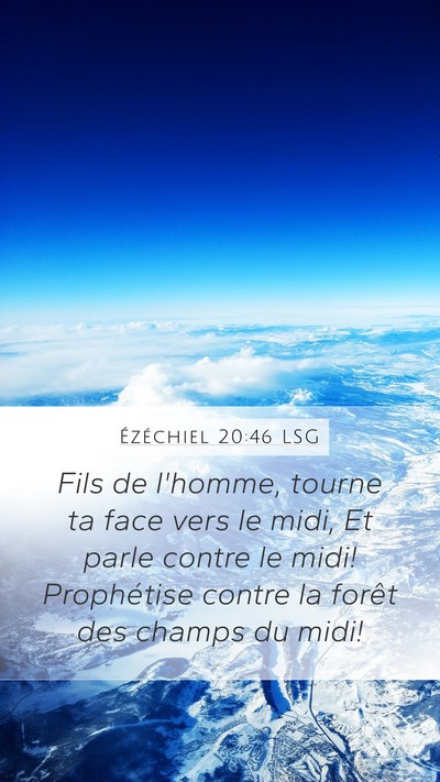 Ézéchiel 20:46 LSG Bible Verse Image