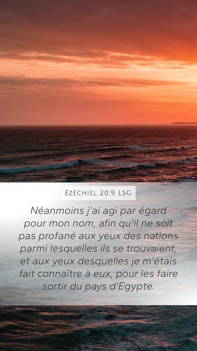 Ézéchiel 20:9 LSG Bible Verse Image