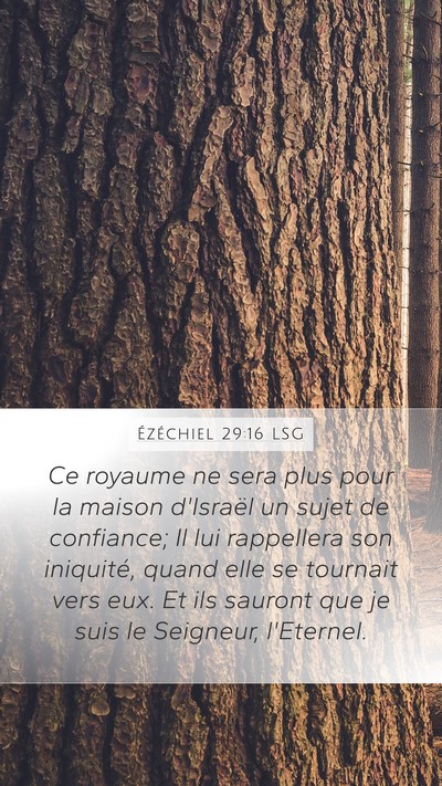 Ézéchiel 29:16 LSG Bible Verse Image