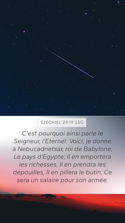 Ézéchiel 29:19 LSG Bible Verse Image