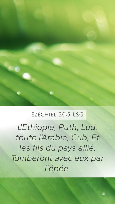 Ézéchiel 30:5 LSG Bible Verse Image