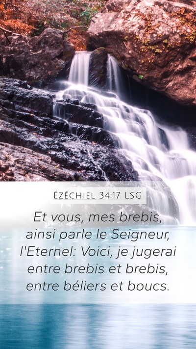 Ézéchiel 34:17 LSG Bible Verse Image