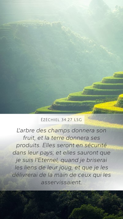 Ézéchiel 34:27 LSG Bible Verse Image