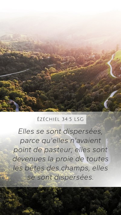 Ézéchiel 34:5 LSG Bible Verse Image