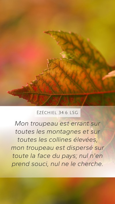 Ézéchiel 34:6 LSG Bible Verse Image