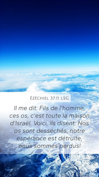 Ézéchiel 37:11 LSG Bible Verse Image