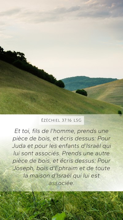 Ézéchiel 37:16 LSG Bible Verse Image