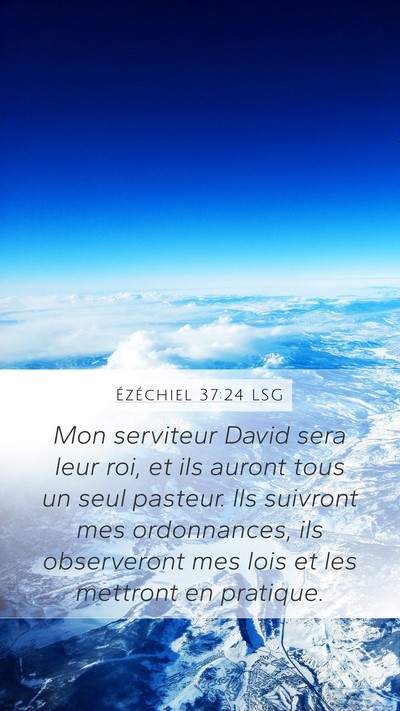 Ézéchiel 37:24 LSG Bible Verse Image