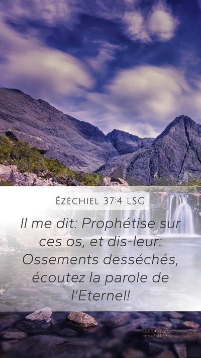 Ézéchiel 37:4 LSG Bible Verse Image