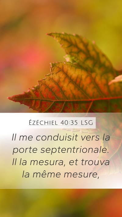 Ézéchiel 40:35 LSG Bible Verse Image