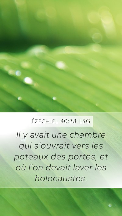 Ézéchiel 40:38 LSG Mobile Phone Wallpaper - Il y avait une chambre qui s'ouvrait vers les - Mobile Bible Verse Wallpaper
