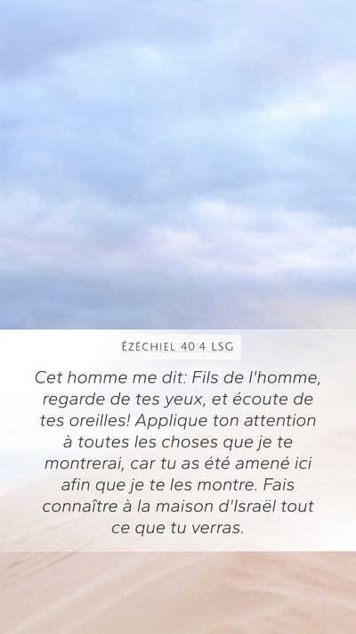 Ézéchiel 40:4 LSG Bible Verse Image