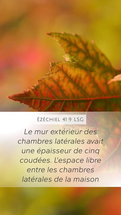 Ézéchiel 41:9 LSG Bible Verse Image
